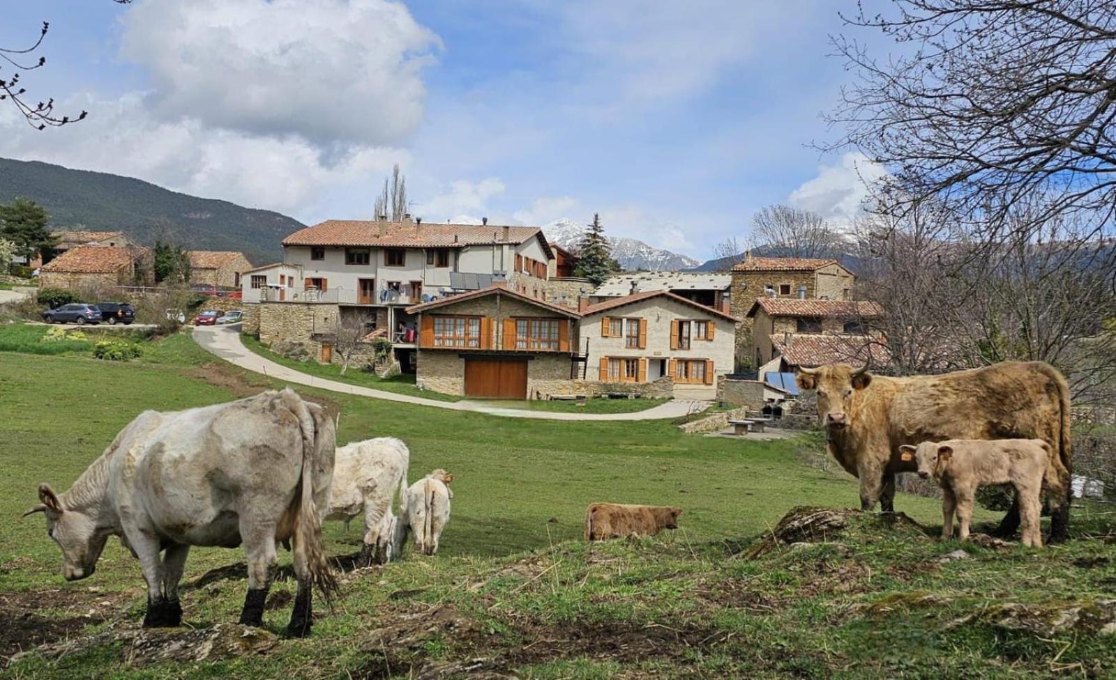 Can Tubau - Casa Rural - Apartaments Campelles ภายนอก รูปภาพ